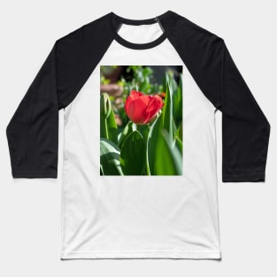 Red Tulip flower with green leaves Baseball T-Shirt